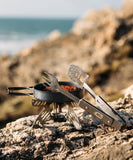 ProQ Travel BBQ Multi Tool - 4in1